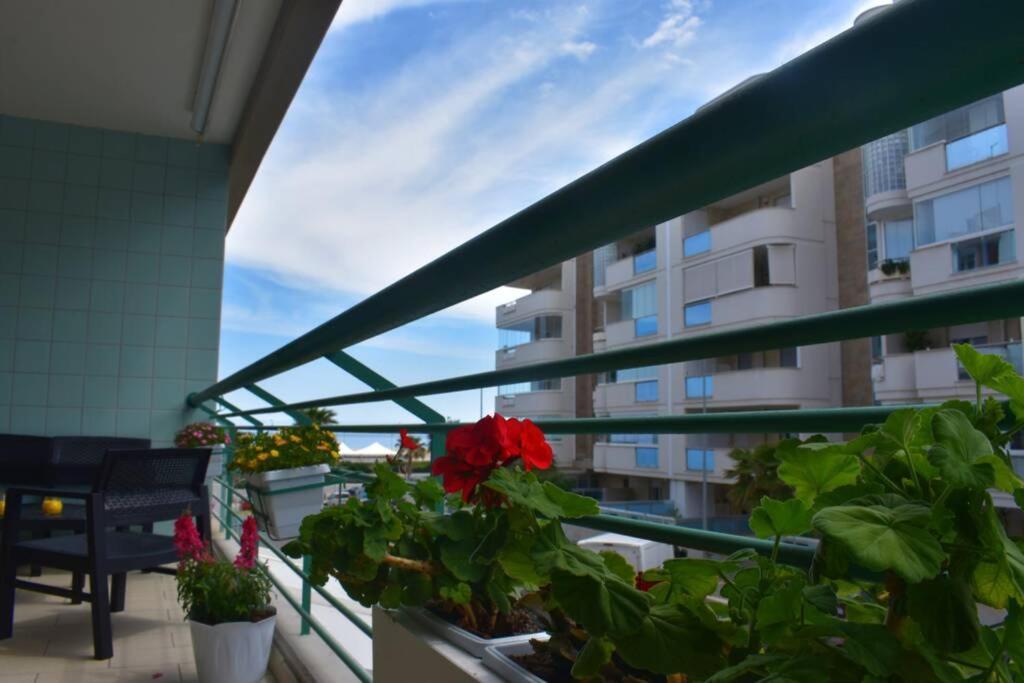 Donna Teresa Accomodation - Holiday House Monopoli Bagian luar foto